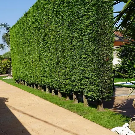 Holiday home Casa Jardin